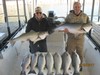 (01/24/2017) - Nice Striped Bass